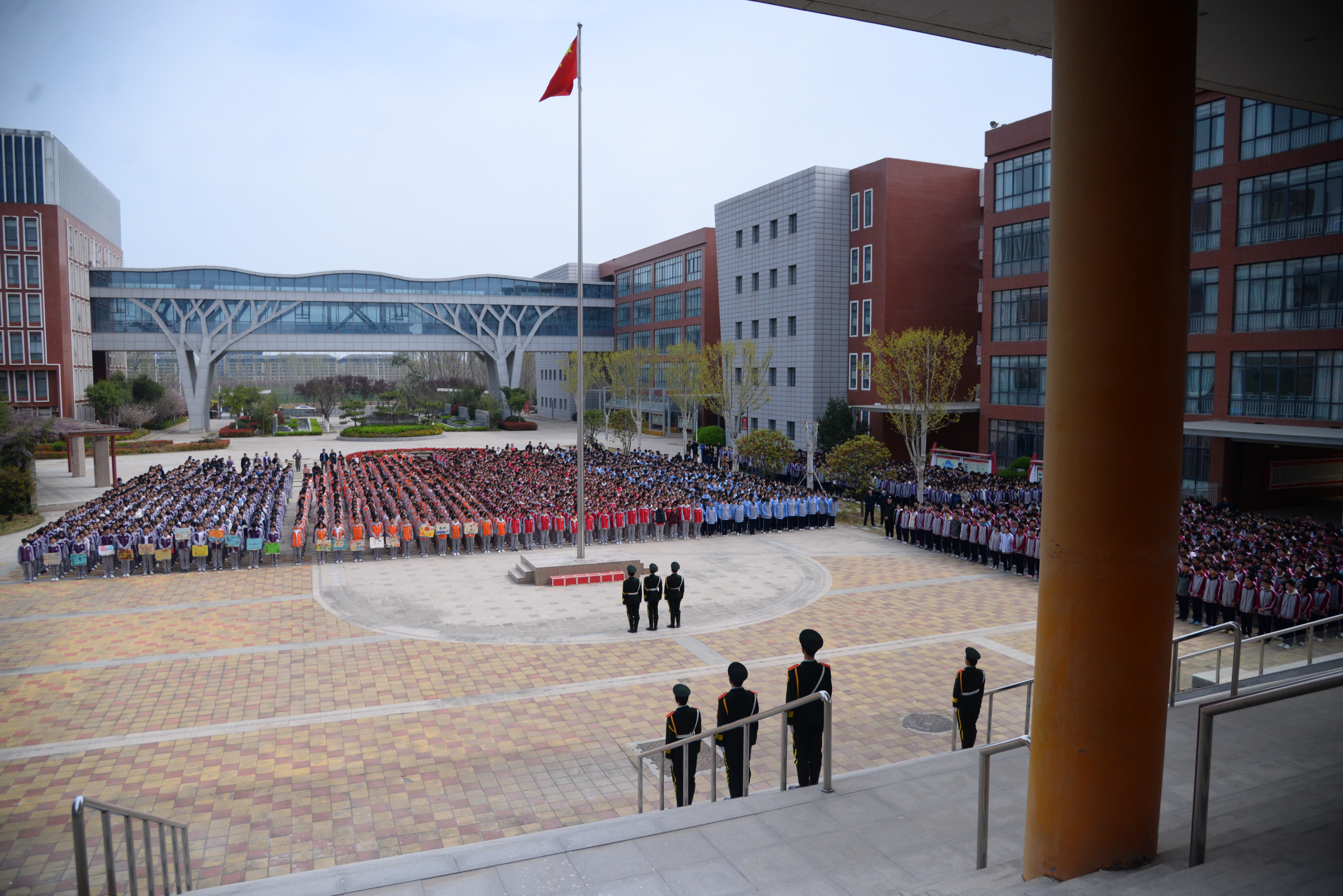 1743478069356036824.jpg 1.jpg